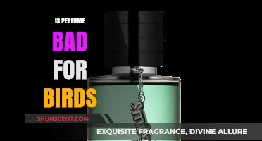 Perfume's Impact: Birds and Fragrance