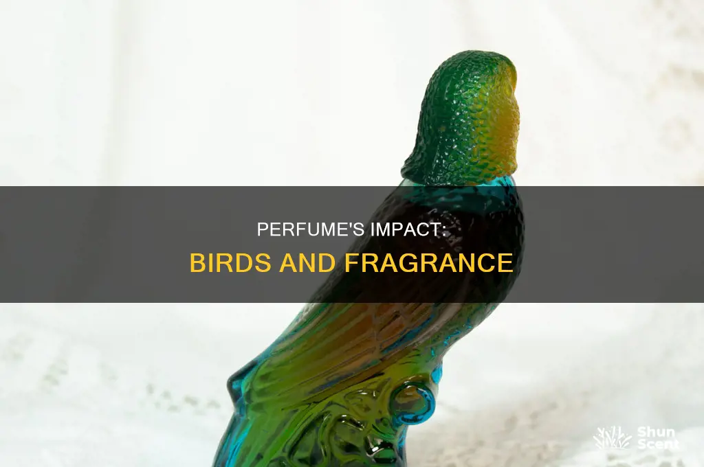 is perfume bad for birds