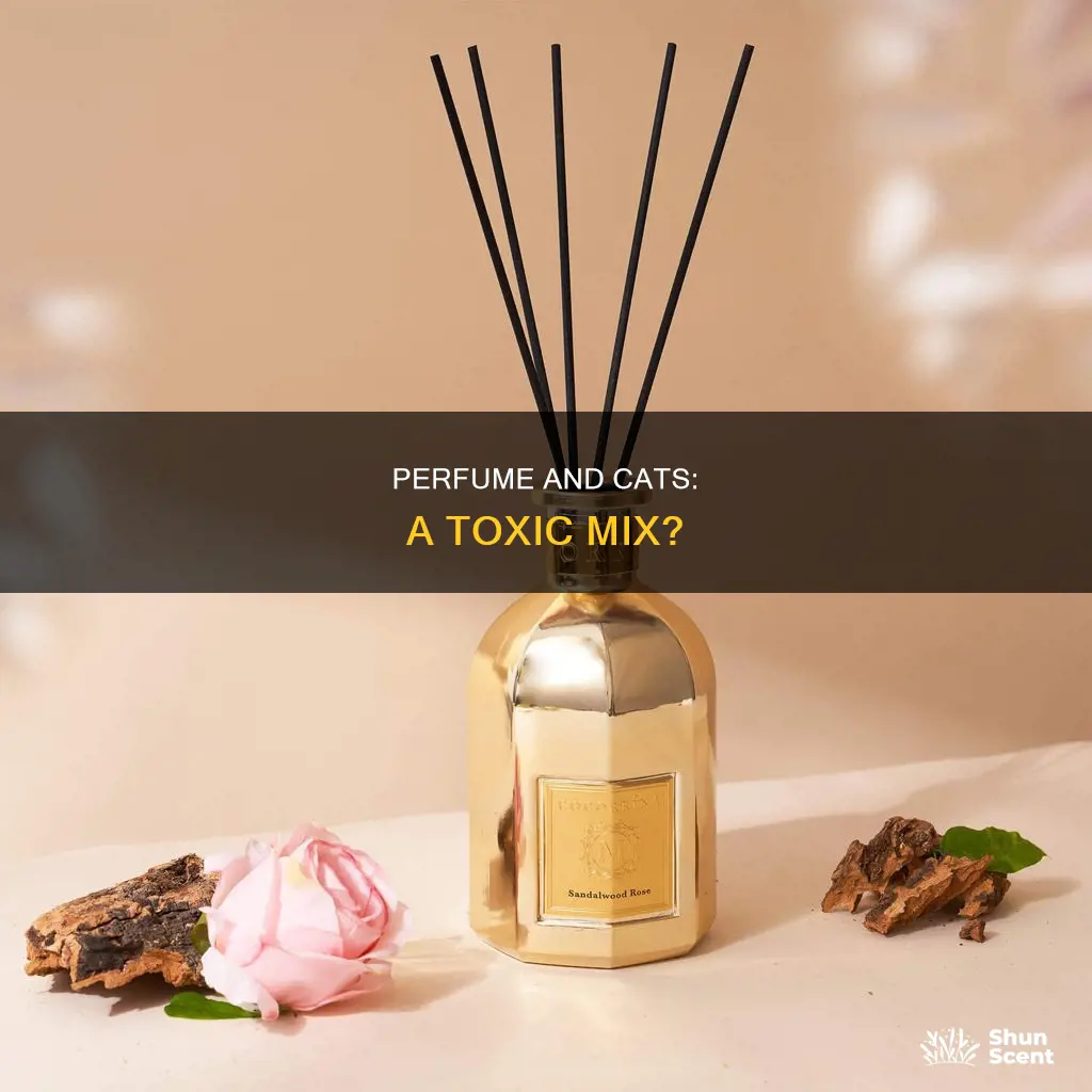 is perfume bad for cats