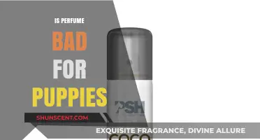 Perfume and Puppies: A Toxic Mix?