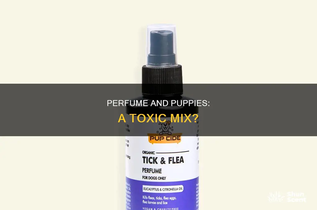 is perfume bad for puppies