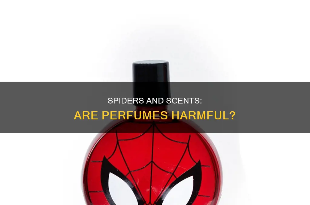 is perfume bad for spiders
