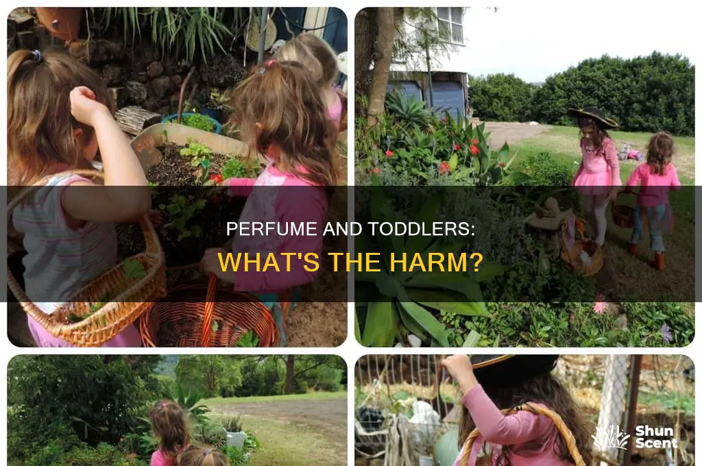 is perfume bad for toddlers