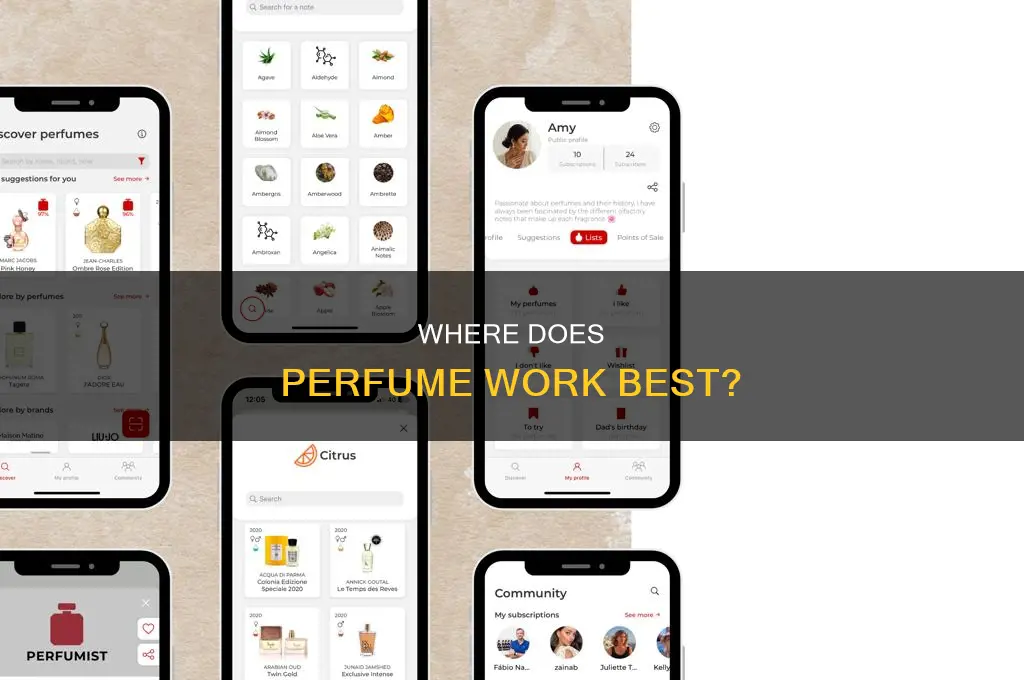 is perfume better on skin or clothes