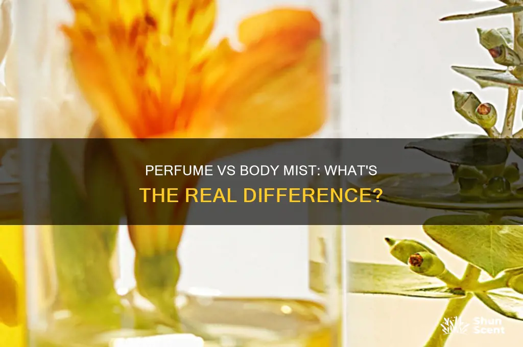 is perfume better than body mist