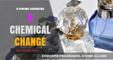 How Does Perfume Evaporation Work?