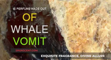 The Truth About Whale Vomit in Perfumes