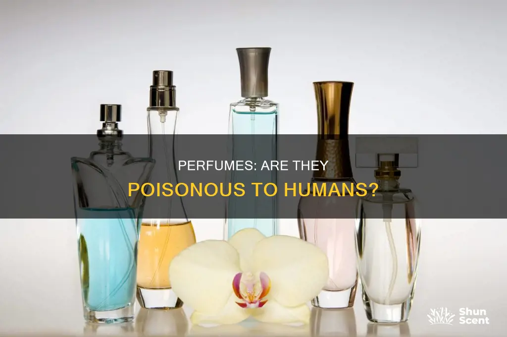 is perfume poisonous to humans
