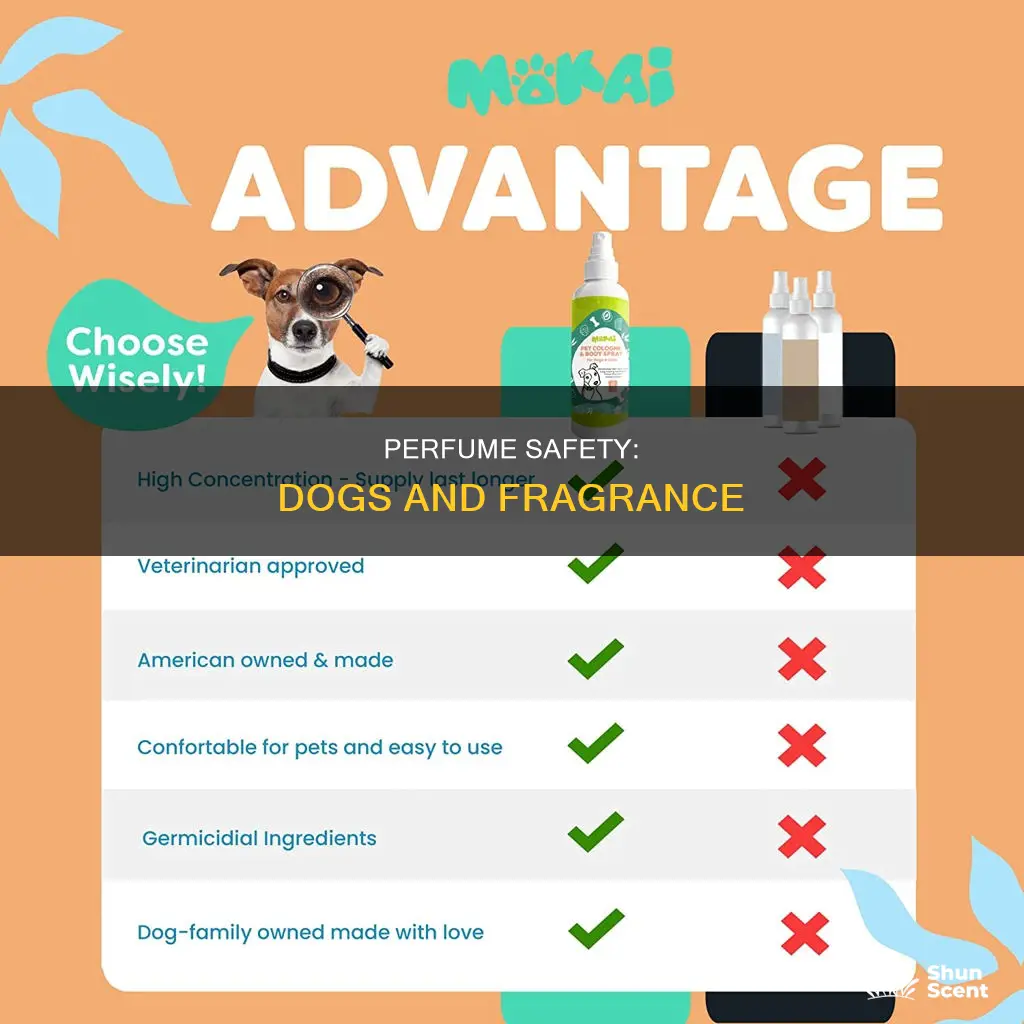 is perfume safe for dogs