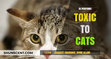 Perfume and Cats: A Toxic Mix?