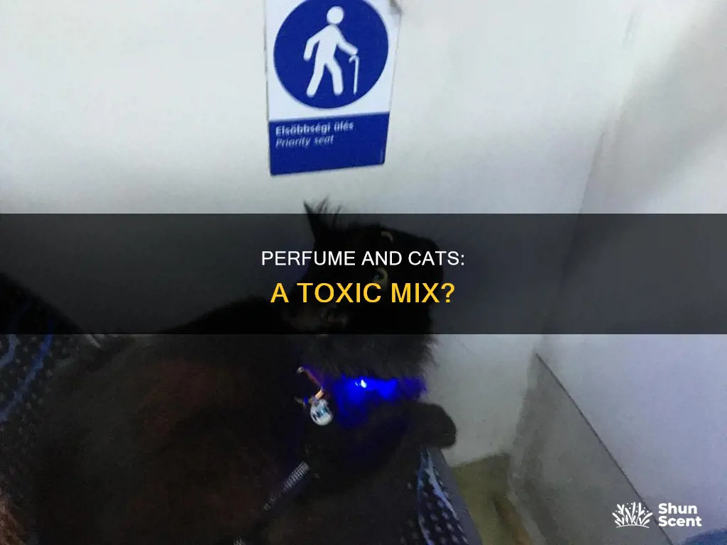 is perfume toxic to cats