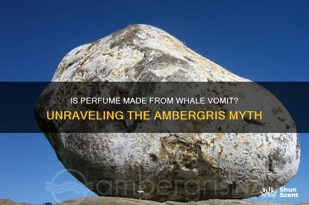 is perfume whale vomit