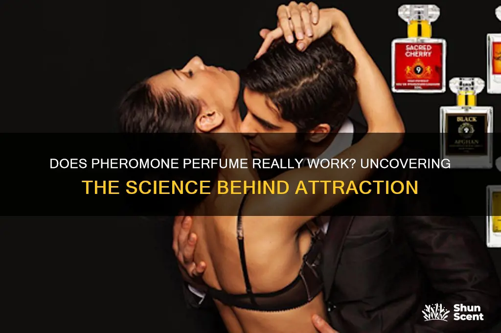is pheromone perfume effective