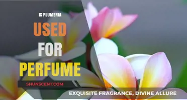 Plumeria's Fragrant Allure: Unveiling Its Role in Perfumery