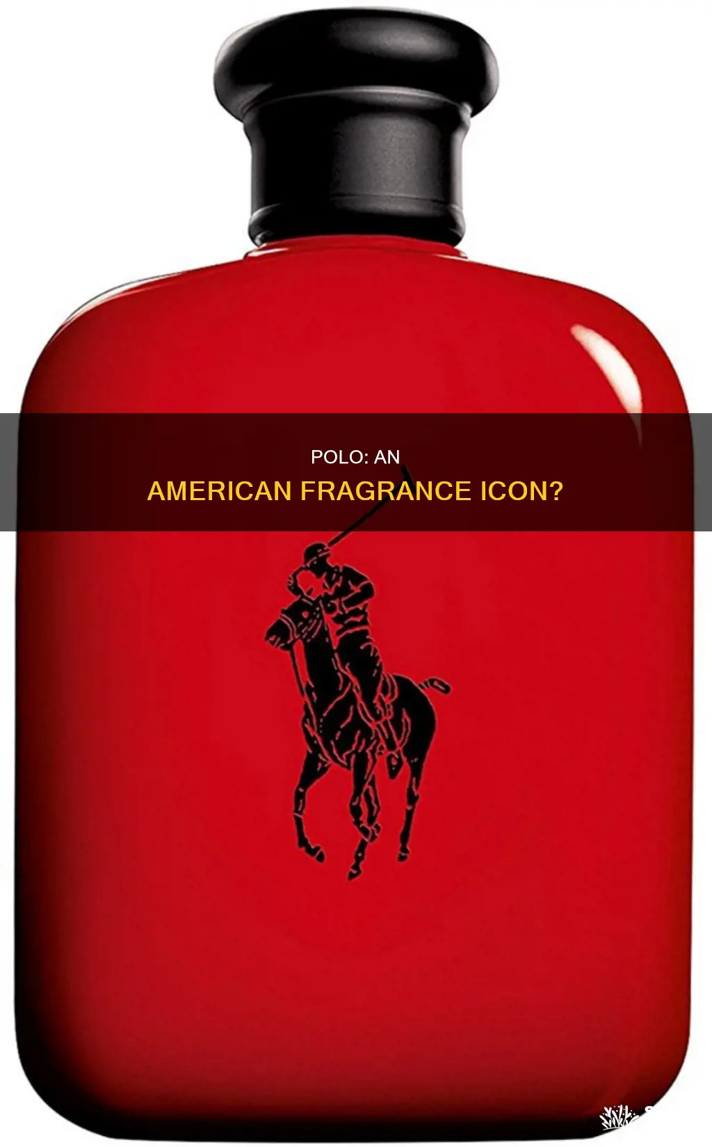 is polo american cologne