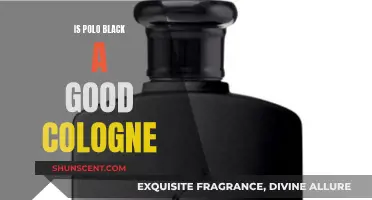 Polo Black: A Worthy Fragrance Investment?