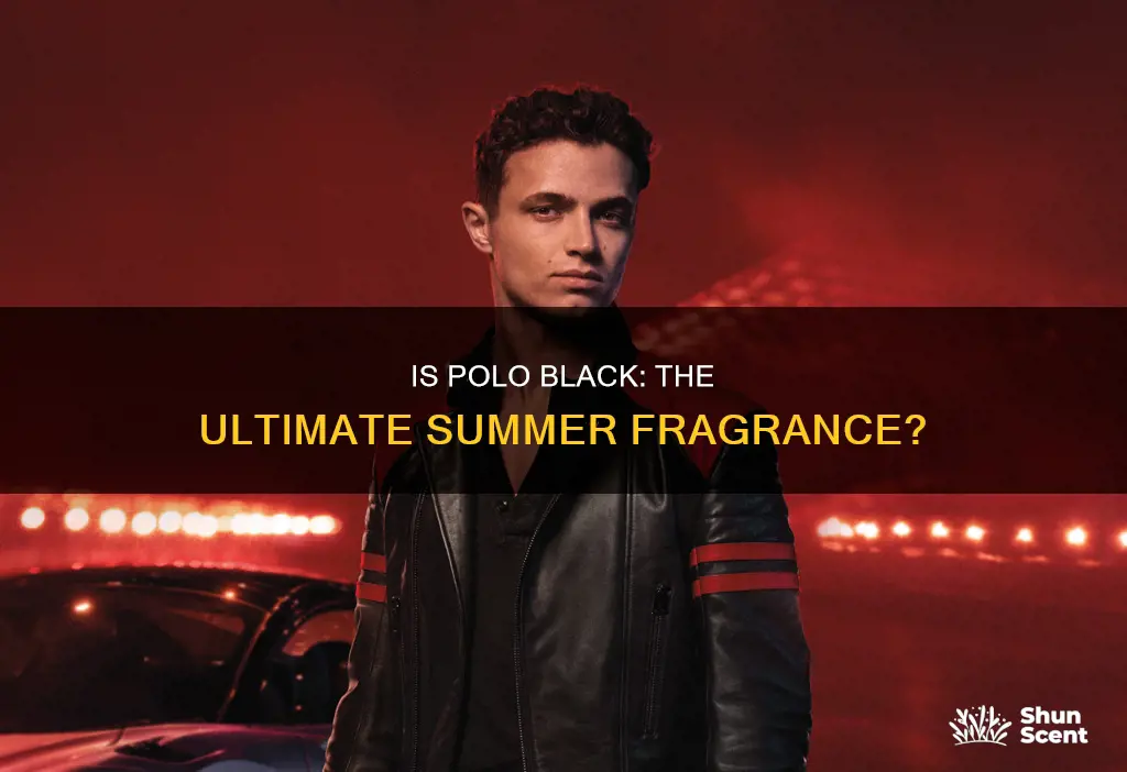 is polo black a summer fragrance