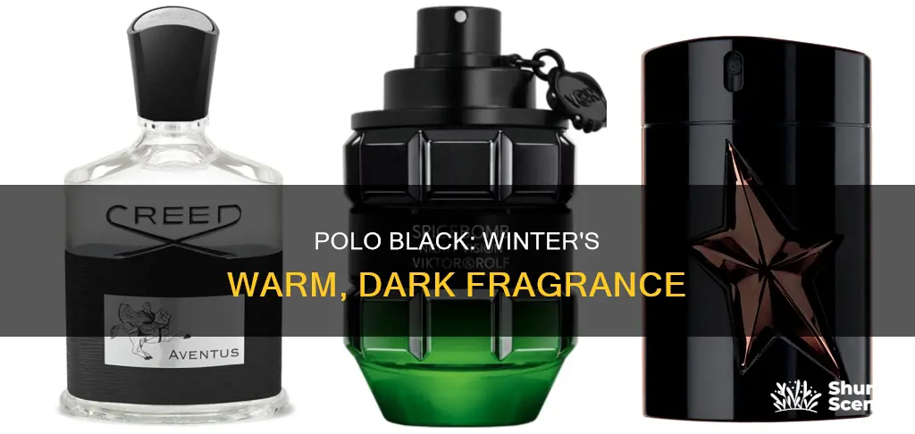 is polo black a winter cologne