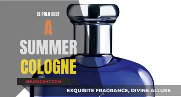 Polo Blue: Summer Scent for Men?