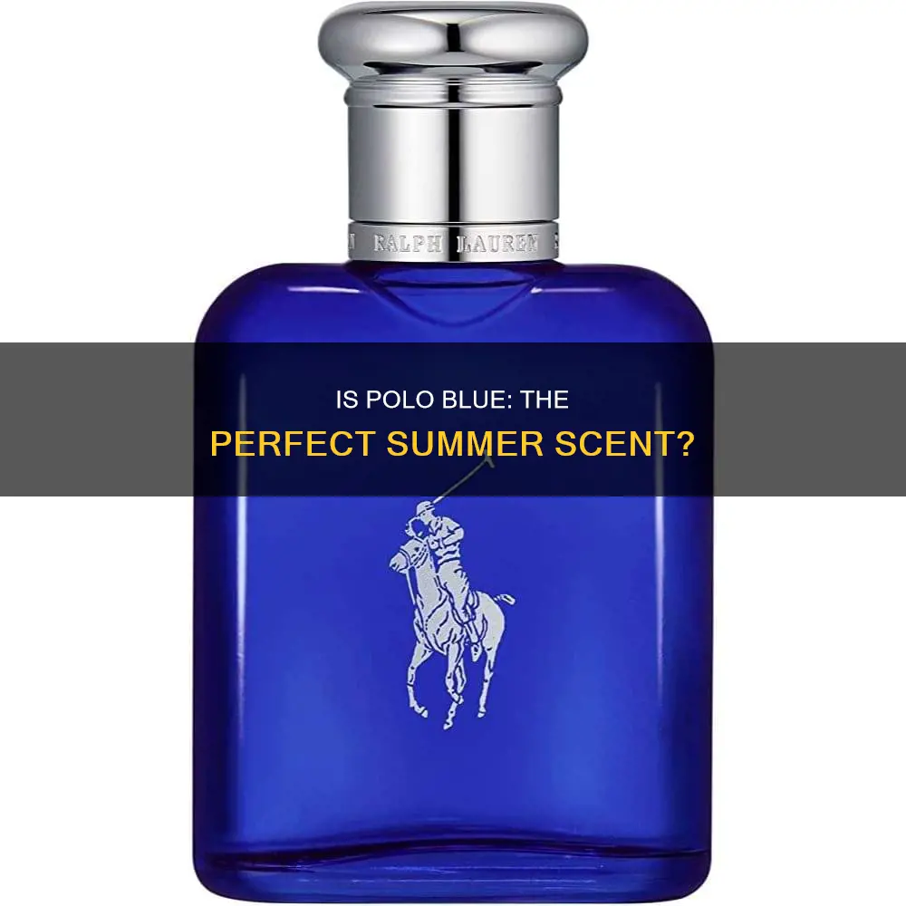 is polo blue a summer fragrance