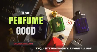 Is Polo Perfume Worth It? A Comprehensive Review and Analysis