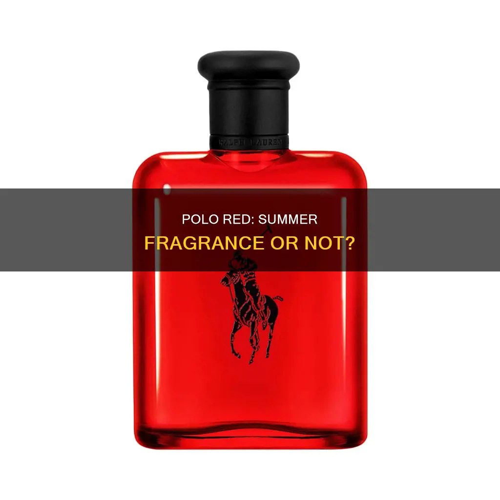 is polo red a summer fragrance