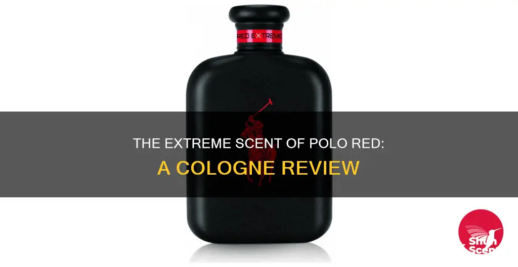 is polo red extreme a cologne