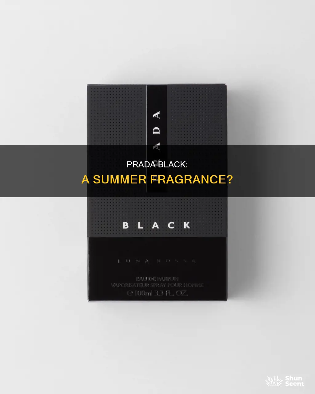 is prada black a summer fragrance