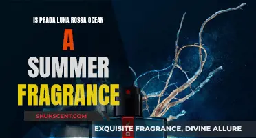 Prada Luna Rossa Ocean: Summer Fragrance or Winter Warmth?