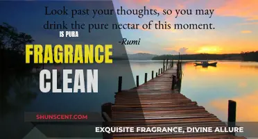 Is Pura's Scent Clean? Unveiling the Ingredients