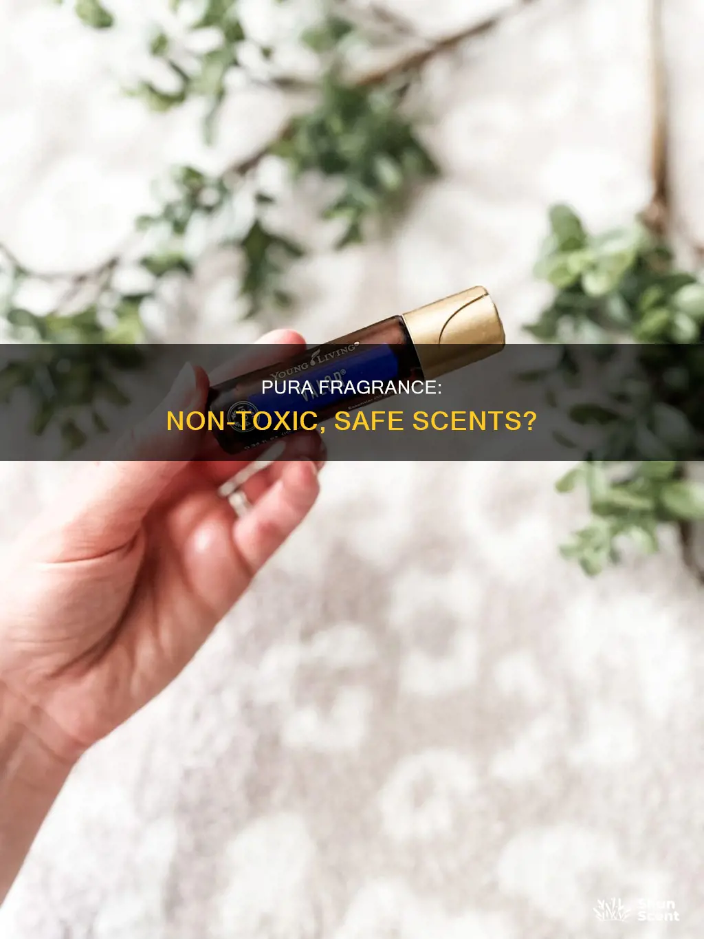 is pura fragrance non toxic