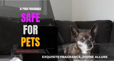 Is Pura's Scent Safe for Your Furry Friends?