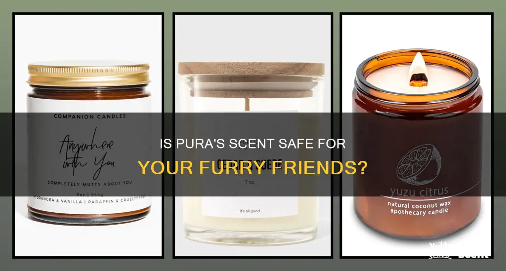 is pura fragrance safe for pets