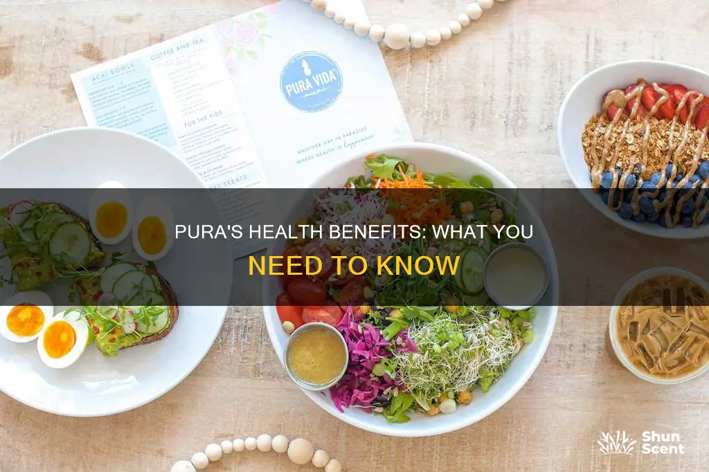 is pura healthy