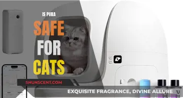 Pura Product Safety for Cats: What You Need to Know