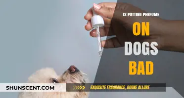 Is Perfuming Your Pup Safe? Exploring the Risks of Dog Fragrance
