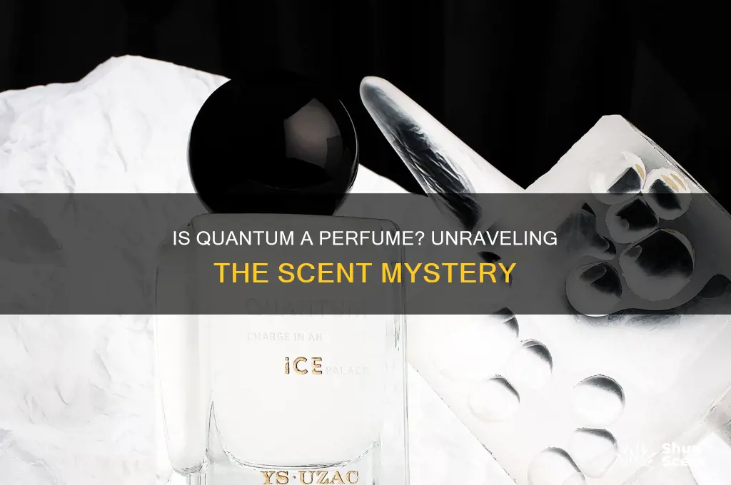 is quantum a perfume