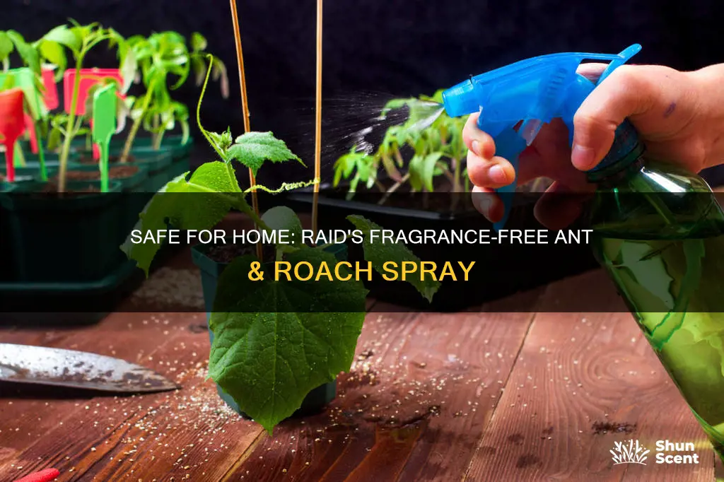 is raid fragrance free ant & roach spray family friendly