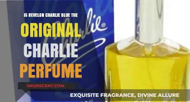 Revlon Charlie Blue: The Original Charlie Perfume Legacy Explored