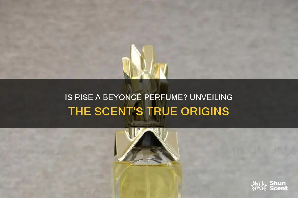 is rise a beyonce perfume