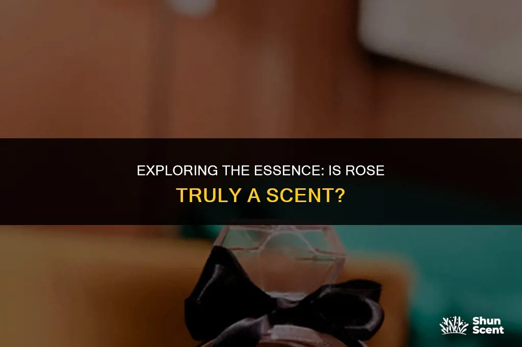 is rose a scent