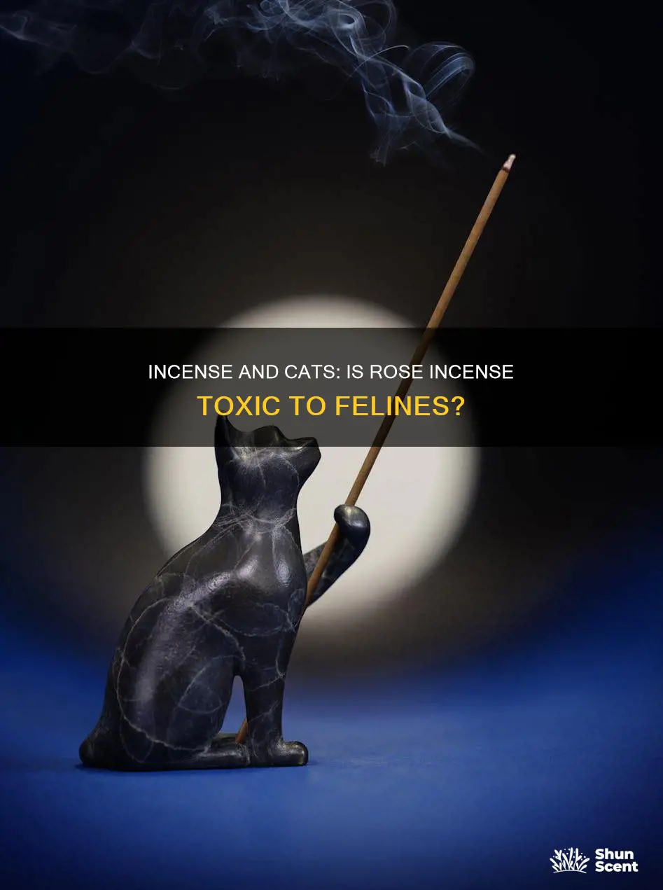 is rose incense bad for cats