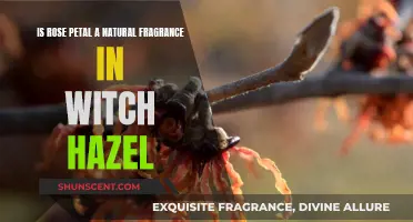 Rose Petal Power: Witch Hazel's Natural Fragrance