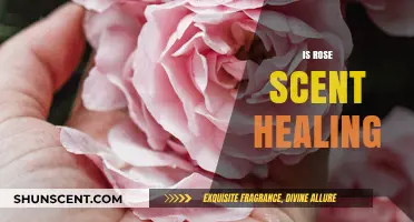 Exploring the Healing Properties of Rose Scent: A Comprehensive Guide