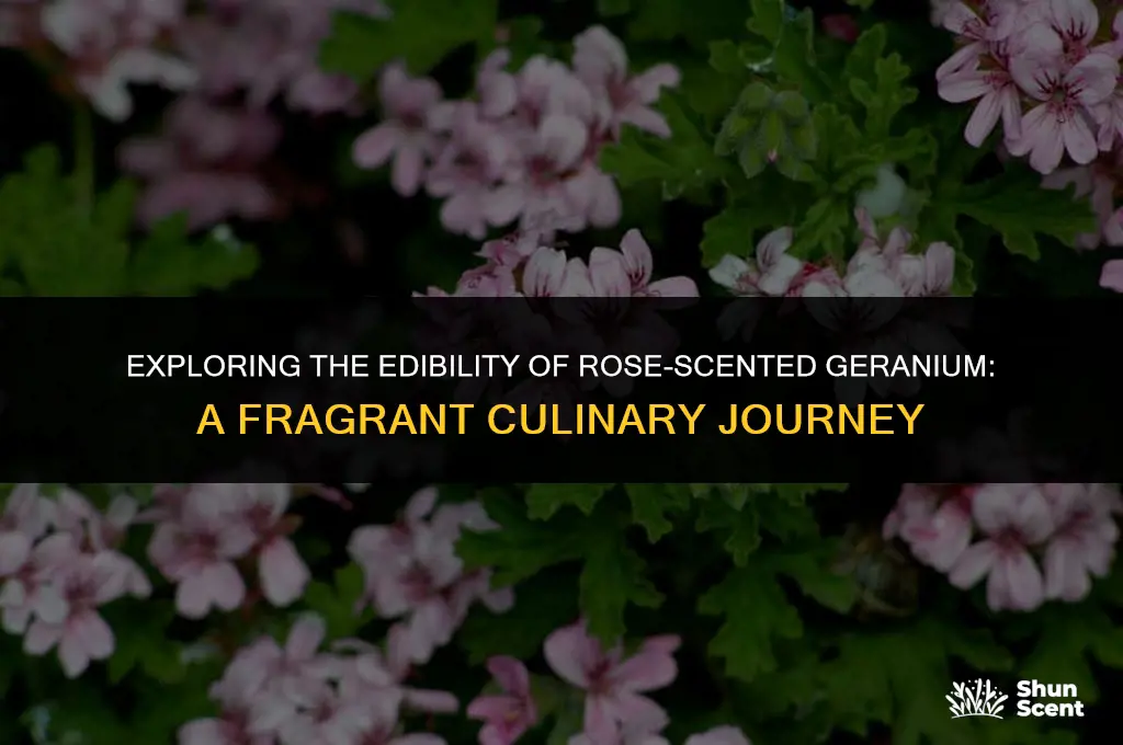 is rose scented geranium edible