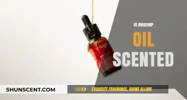 Unveiling the Truth: Does Rosehip Oil Have a Scent?