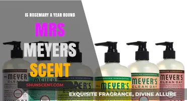 Rosemary: A Year-Round Favorite in Mrs. Meyer's Scent Collection