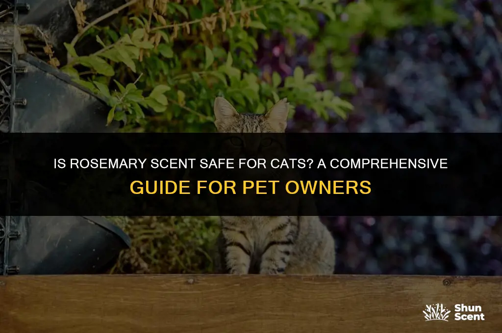 is rosemary scent safe for cats