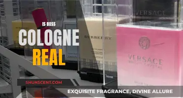 Exploring the Truth Behind Ross' Cologne in Friends