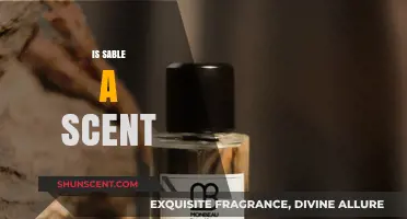 Exploring the Enigmatic Essence: Is Sable a Scent?